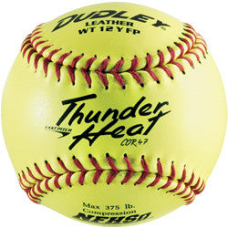 Dudley Wt12Y-Fp Fastpitch Softball - Giantmart.com