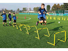 Foldable hurdle
